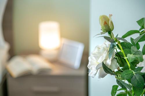 a white flower on a plant in a room at Panorama Lake Como Wi-Fi Parking Free in Acquaseria