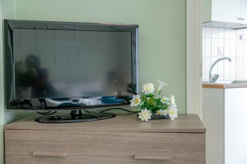 a television on a dresser with a vase of flowers at Panorama Lake Como Wi-Fi Parking Free in Acquaseria