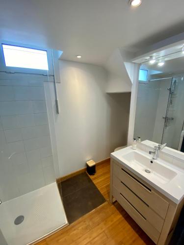 une salle de bain avec un lavabo, une douche et un miroir dans l'établissement magnifiques appartements au coeur de Bordeaux, à Bordeaux