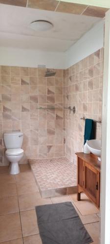 a bathroom with a toilet and a sink at Dollery House in Port Alfred