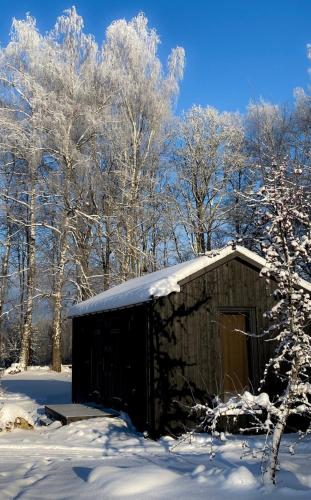 a woodenshed covered in snow with trees in the background at Ragnar Glamp Koknese in Koknese