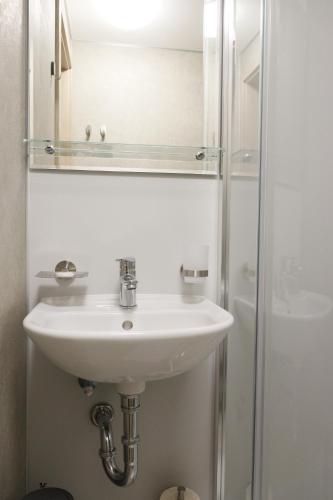 a bathroom with a sink and a shower at Botel Racek in Prague
