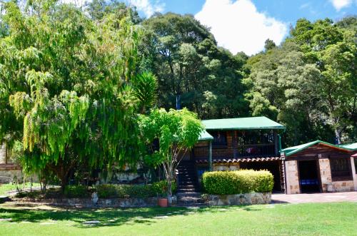 a building with a tree in front of it at Castillo Casablanca in Guatavita