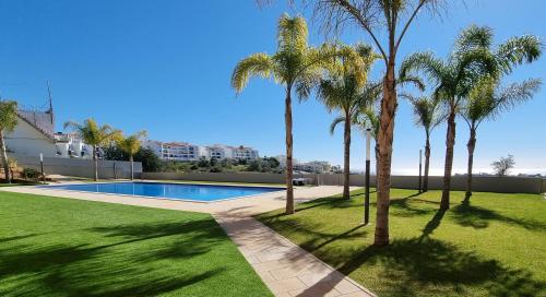 Alvorada Premium by Sunny Deluxe photo 3