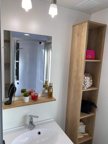 une salle de bain avec un lavabo et un miroir dans l'établissement Mobil home Rainbow, camping les dunes de contis, à Saint-Julien-en-Born