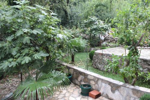 a garden with trees and a stone wall at Apartments Mijuskovic in Donji Morinj