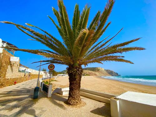 a palm tree in front of a beach with palm trees at Luz Beach Apartments in Luz