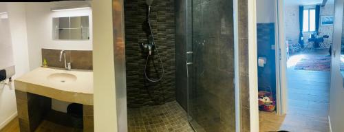 a bathroom with a shower and a sink at Pitibi Maison d'Hote in Sanary-sur-Mer