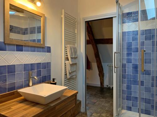 a bathroom with a sink and a shower at L'Ecole des Demoiselles in Honfleur