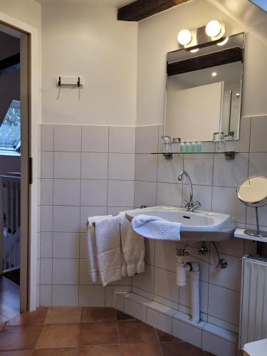a bathroom with a sink and a mirror at Gut Basthorst in Basthorst