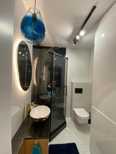 uma casa de banho com um chuveiro, um lavatório e um WC. em Kamienica Nova 13 em Krosno