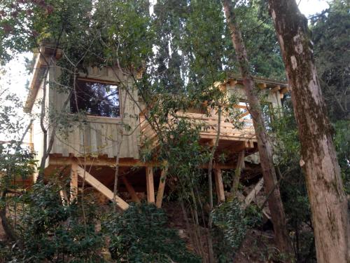 Сад в Les Cabanes Dans Les Bois Logis Hôtel