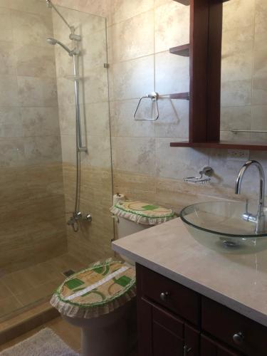 uma casa de banho com um lavatório e uma cabina de duche em vidro. em Apartamentos Kika em San Felipe de Puerto Plata