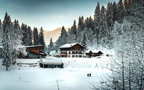 a ski lodge in a snow covered forest at Hotel Du Lac in Montriond