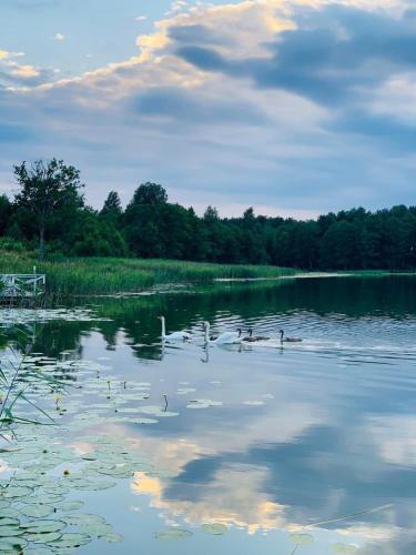 Landskap semula jadi dekat dengan the country house