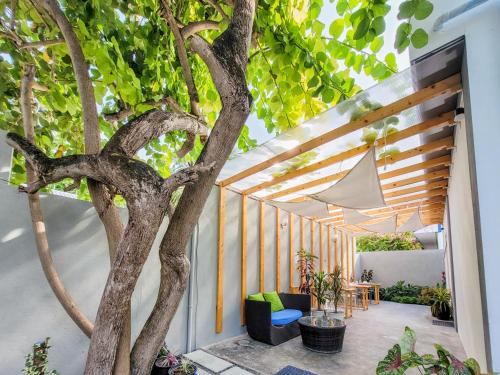a patio with a tree and a wooden pergola at Hudhufas Villa in Thoddoo