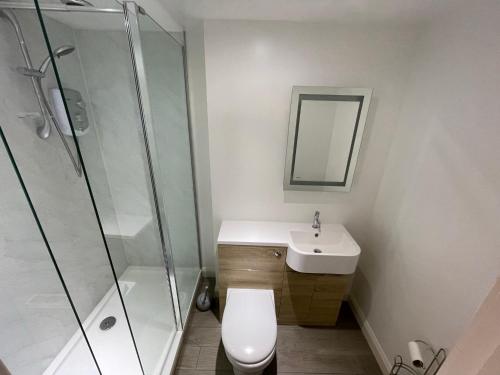 a bathroom with a toilet and a sink and a shower at Serviced Accommodation Moray in Elgin