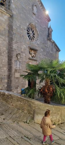 Φωτογραφία από το άλμπουμ του Casa Ada σε Labin