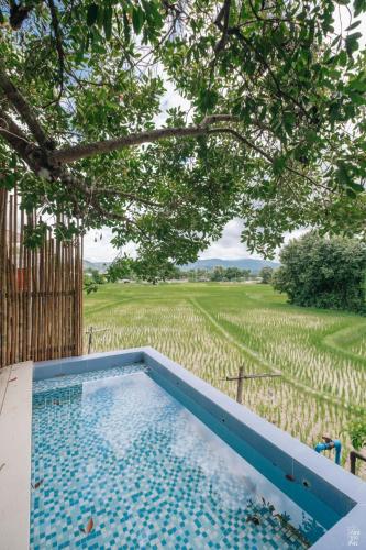 a swimming pool with a view of a field at ต้งโฮมสเตย์ กลางทุ่งนา Local Homestay and View in Nan