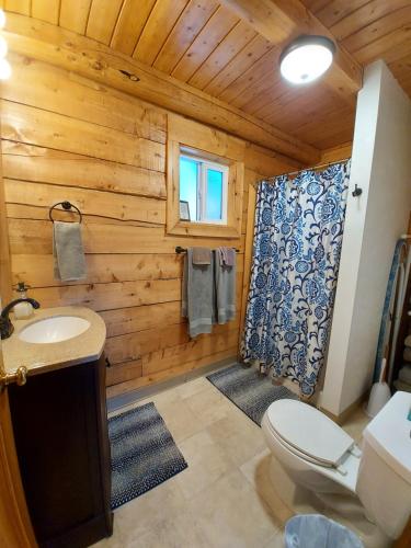 Koupelna v ubytování Hatcher Pass Cabins