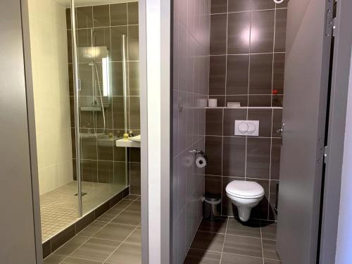 a bathroom with a toilet and a glass shower at Hôtel Causse Comtal Rodez, The Originals Relais in Gages-le-Haut