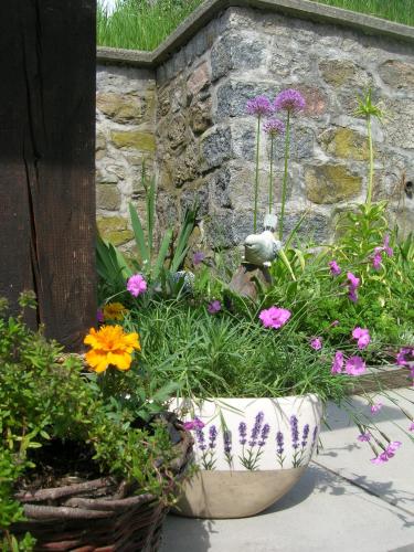 a large pot of flowers in a garden at Casa Andelka in Andělská Hora