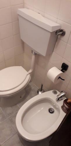 a bathroom with a white toilet and a sink at Casetta Maia in Lavarone
