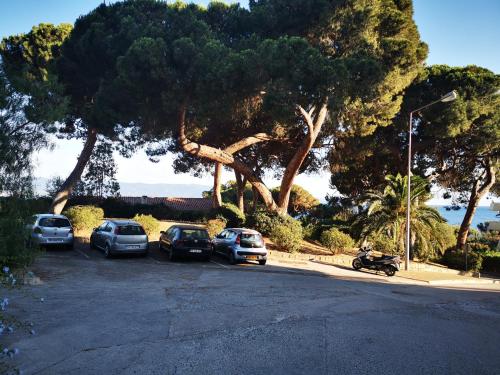 阿雅克肖的住宿－Appartement Ajaccio Sanguinaires，停在停车场的一群汽车