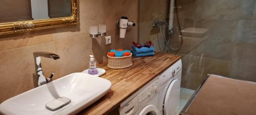 ein Badezimmer mit einem Waschbecken und einer Waschmaschine in der Unterkunft Ferienwohnung Halle/Lettin in Halle an der Saale