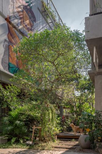 a cat sitting next to a tree next to a building at Tamni in Bangkok