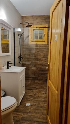 a bathroom with a toilet and a sink and a shower at Vila Panselutelor 6 in Sinaia