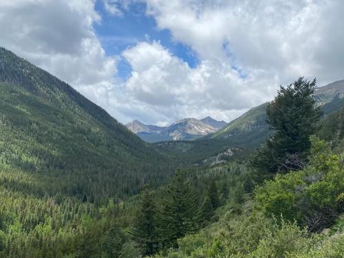 a view of a valley with trees and mountains at Buena Vista Mountain Retreat - Ultimate Privacy with Spa & Unbeatable Views in Buena Vista