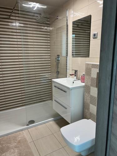 uma casa de banho com um chuveiro, um WC e um lavatório. em Prince apartment downtown em Budapeste
