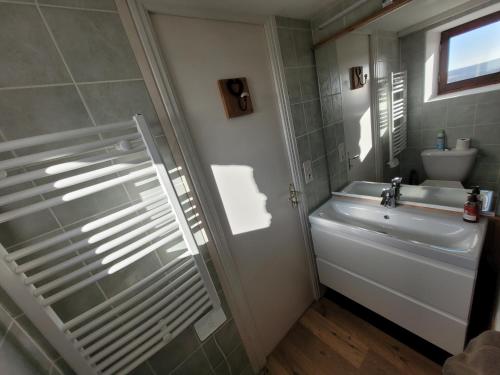 La salle de bains est pourvue d'un lavabo, de toilettes et d'une douche. dans l'établissement Gîte de la Doucette, à Paimpont