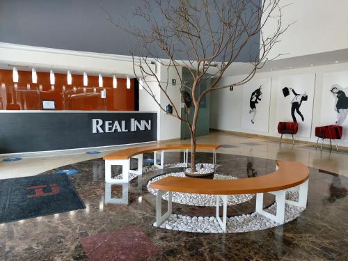 Real Inn Perinorte في مدينة ميكسيكو: طاولة مع شجرة في وسط الغرفة