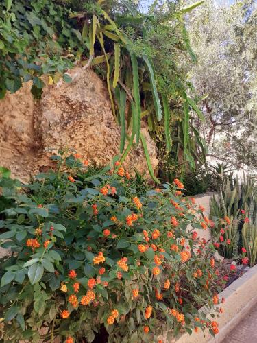 a garden with orange flowers and plants at Bellevue Apartments in Sitia