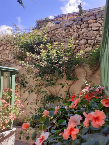 a stone wall with flowers growing on it at Bellevue Apartments in Sitia