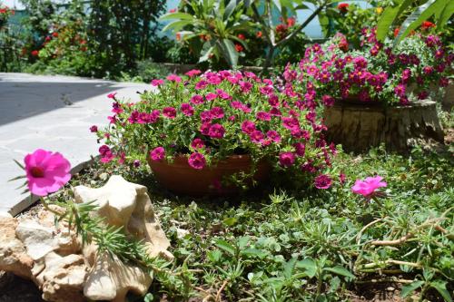 a flower garden with pink flowers and rocks at Bellevue Apartments in Sitia