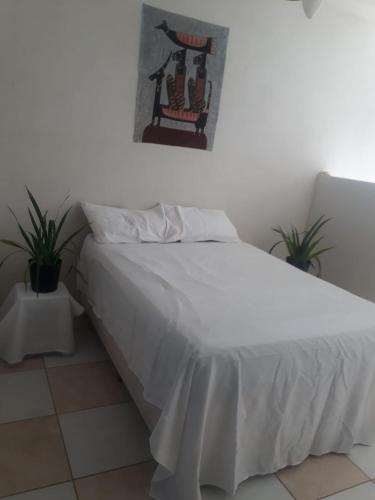 Casa Verde – Photos 5