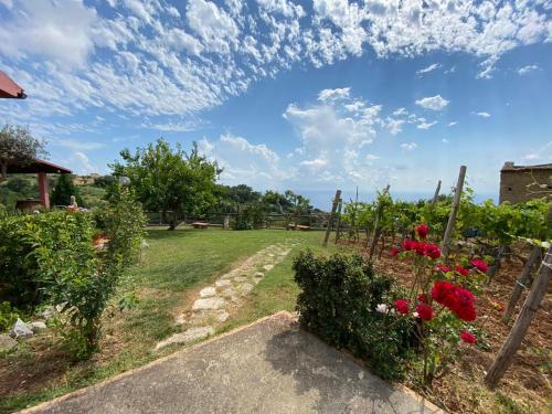 Jardin de l'établissement B&B la Sirenetta