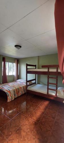 Hostal y cabinas anita-and rafting tour! في Siquirres: غرفة نوم بسريرين بطابقين في غرفة