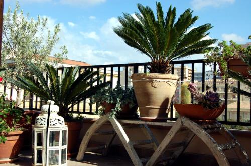 a bunch of potted plants on a balcony at PortAtenea - Atenea Collection in Agrigento