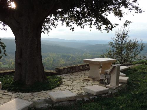 a bench sitting under a tree on top of a hill at Apartment Pod Lipom in Roč