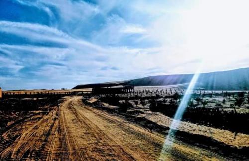 a train on a dirt road in a field at Hayaat siwa hot spring in Siwa