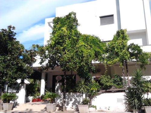 Hotel Calla'