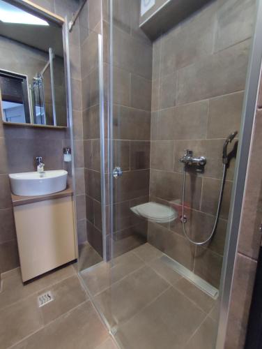 a bathroom with a shower and a toilet and a sink at Diamond Sunrise in Divčibare