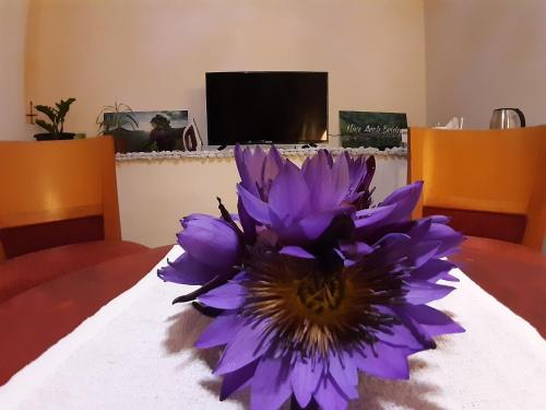 Favorite Ella Hotel – Photos 3