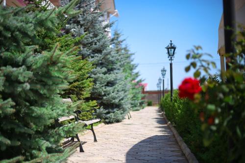 a row of christmas trees lined up next to a bench at Aquamarine Inn in Cholpon-Ata