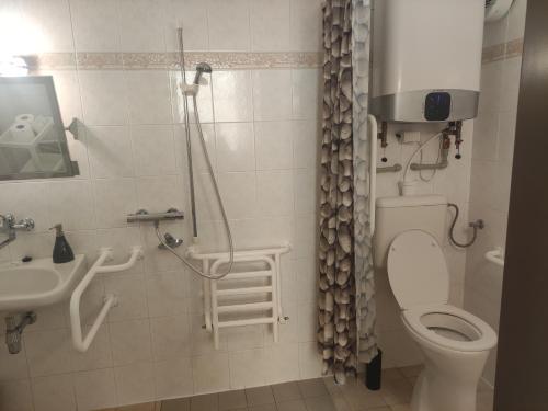 a bathroom with a shower and a toilet and a sink at Penzion Klášterský mlýn in RejÅ¡tejn
