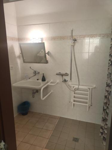a bathroom with a shower and a sink and a mirror at Penzion Klášterský mlýn in RejÅ¡tejn
